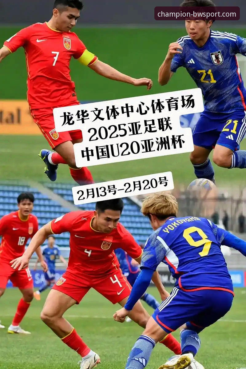 宝威体育平台2025新版全面体验：从注册到下载的实用指南
